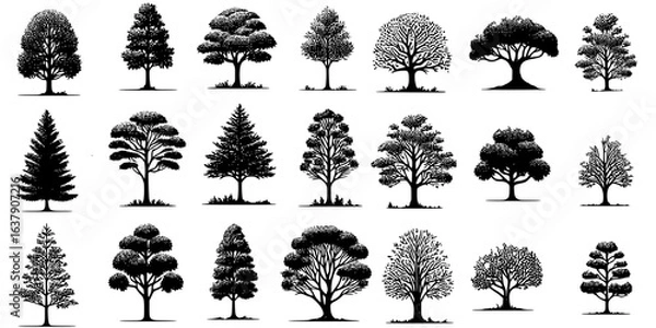 Fototapeta collection of trees, set of trees silhouettes