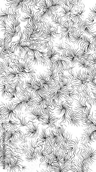 Fototapeta Abstract black and white geometric patterns