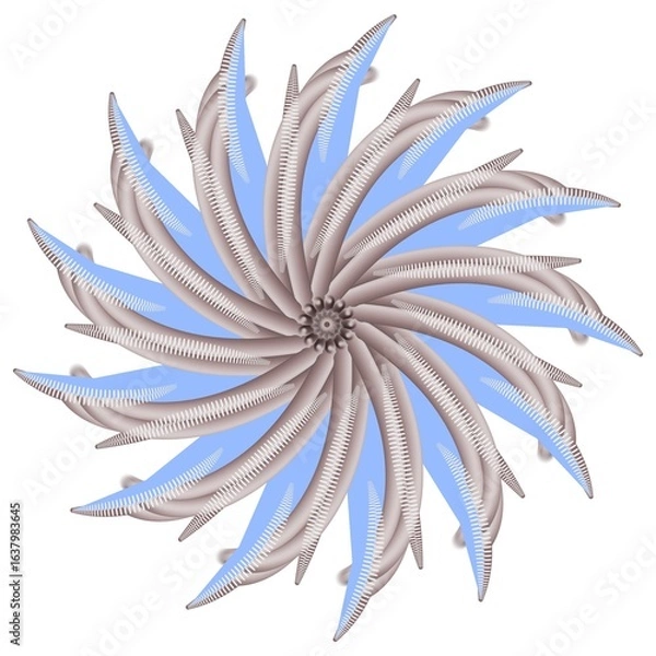 Fototapeta flower on white background