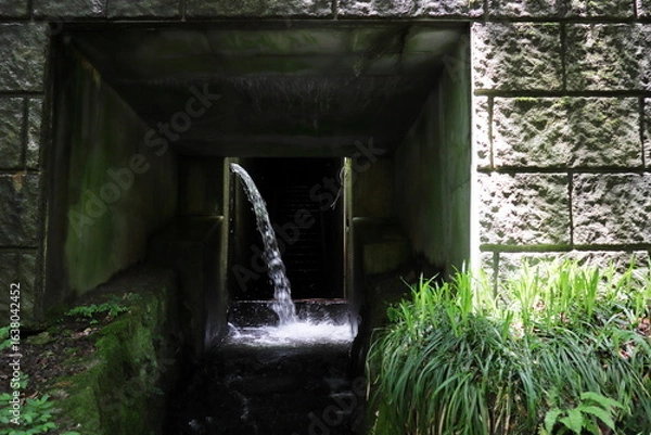 Fototapeta コンクリートの空間から流れ落ちる水