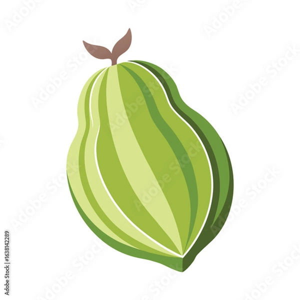 Obraz Green Papaya Fruit Vector Illustration on White Background