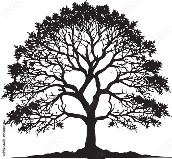 Fototapeta tree silhouette Vector | Minimalist & Trendy tree Silhouette Design | Unique & Stylish tree Artwork for Vector design
