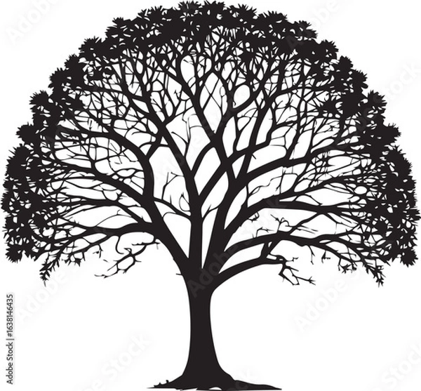 Fototapeta tree silhouette Vector | Minimalist & Trendy tree Silhouette Design | Unique & Stylish tree Artwork for Vector design