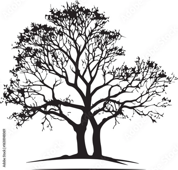 Fototapeta tree silhouette Vector | Minimalist & Trendy tree Silhouette Design | Unique & Stylish tree Artwork for Vector design