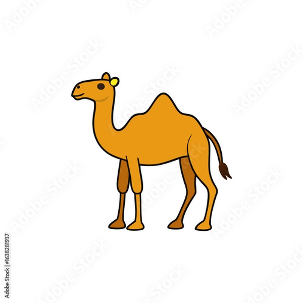 Fototapeta camel on white