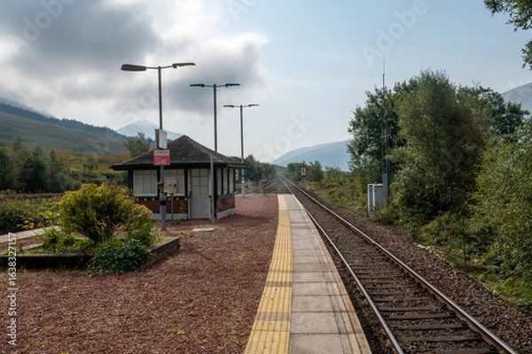 Obraz railway in the forest