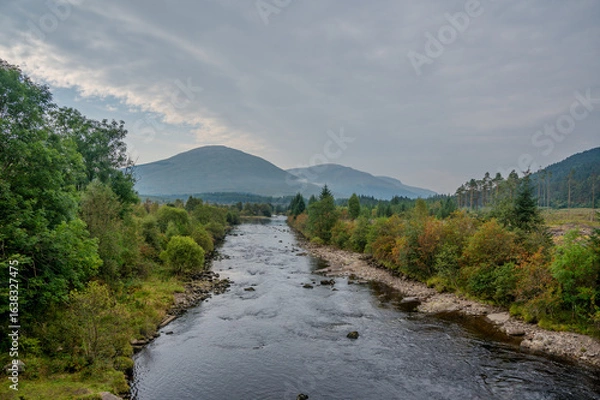 Obraz river in the mountains