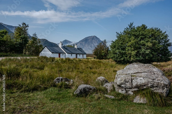 Obraz sheep in the mountains