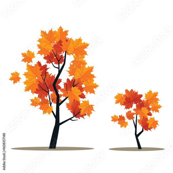 Fototapeta Colorful autumn trees. Maple tree with bright leaves isolated on white background.