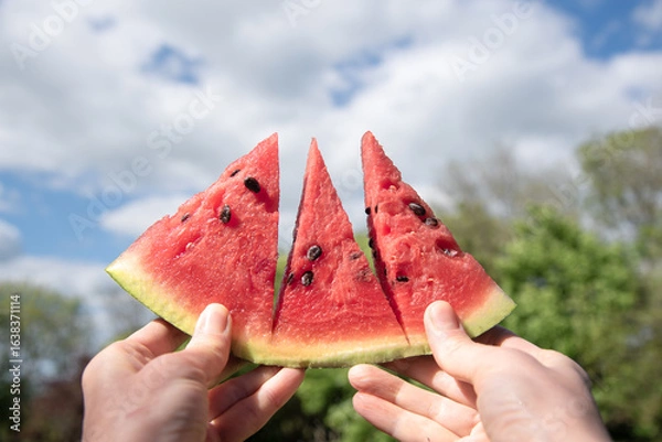 Fototapeta A slice of ripe watermelon in hands against the sky and trees outdoor. Healthy lifestyle concept. Fresh, juicy fruits for health. A piece of watermelon cut into three parts. Summer plant raw food