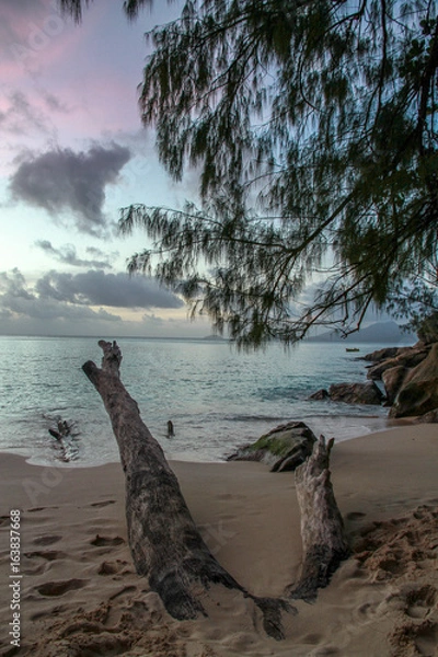 Fototapeta plage seychelles