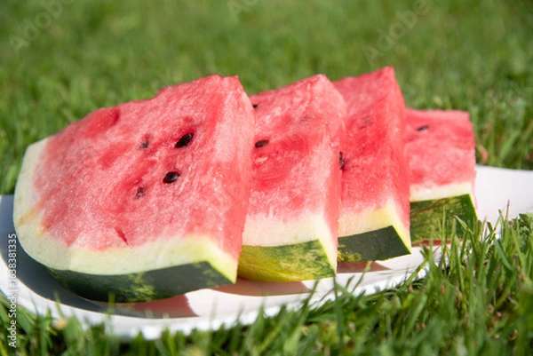 Fototapeta Close-up of sliced fresh ​​watermelon outdoors on a sunny summer day.  Selective focus of a sliced fruit on sunshine and green grass. Healthy snack on a picnic. Portion of watermelon on a white plate
