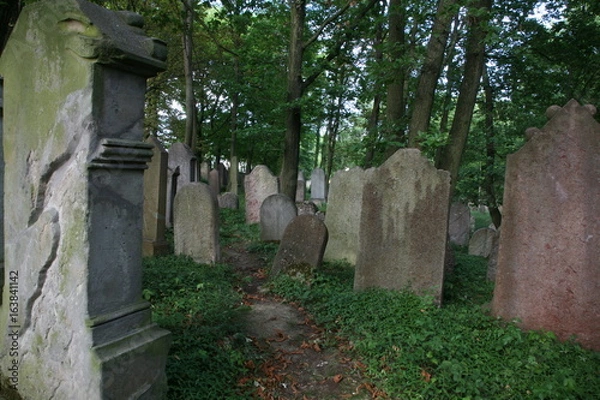 Fototapeta old jewish cemetery