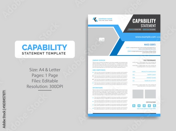 Obraz Capability Statement template design