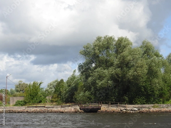 Obraz river in the forest with a tiny bridge