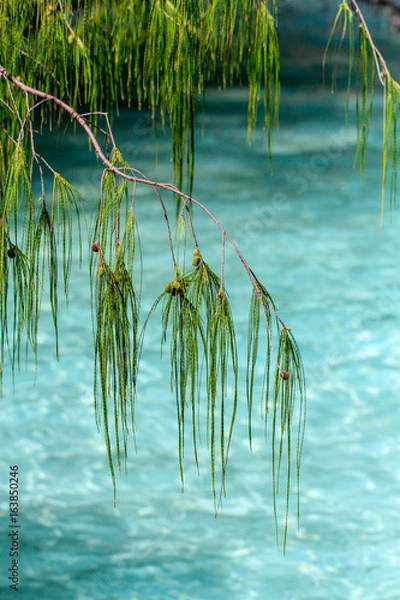 Fototapeta terre et mer