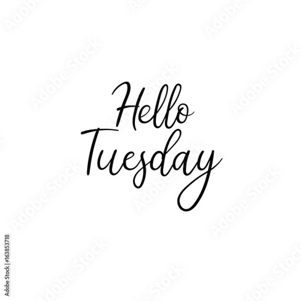 Fototapeta Hello Tuesday. Hand written modern calligraphy. Brush painted letters, vector
