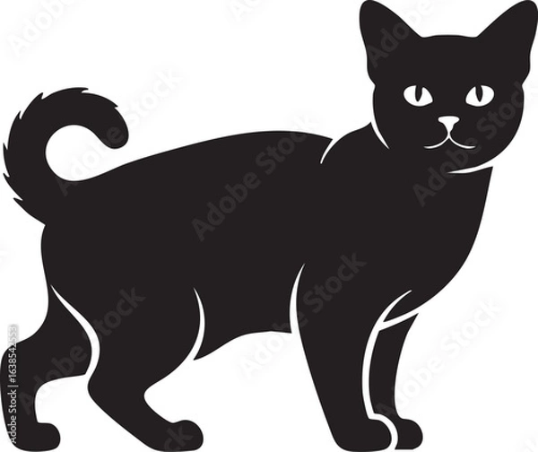 Obraz Black cat standing alert in silhouette