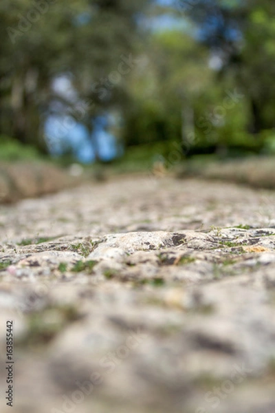 Fototapeta chemin de dordogne