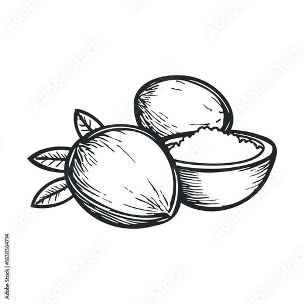 Obraz Hand-drawn shea nuts illustration with leaves and bowl of butter
