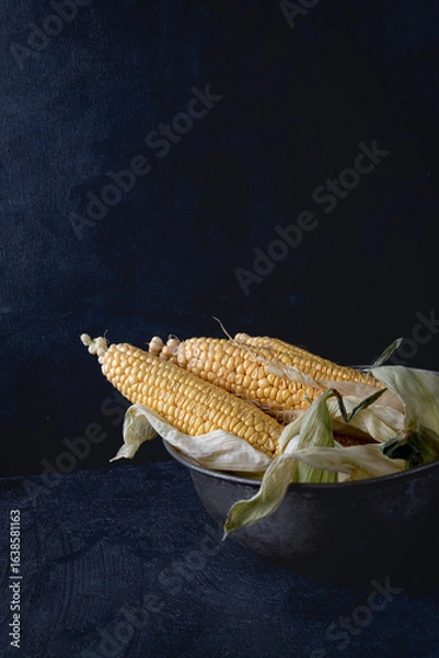 Obraz Close-up of fresh golden corn cobs in a rustic metal bowl, partially husked, against a dark background. The natural textures and warm tones create a cozy, organic food still life.