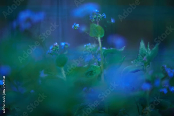 Fototapeta Enchanting and Mystical Blue Green Flora Presented in a Soft Focus for Maximum Effect