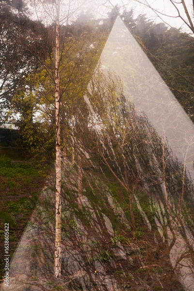 Fototapeta A Tranquil Reflection of Nature Expressed Through Beautiful Geometric Shapes and Forms