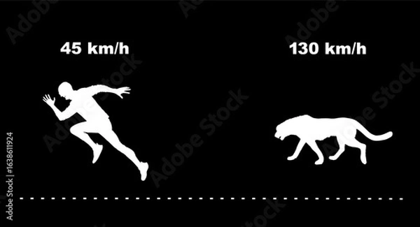 Fototapeta Silhouette speed compare between fastest man sport runner in run and cheetah fastest animal on earth. Sprinter VS wild cat predator carnivore Africa wildlife. Safari attraction comparison fast sprint.