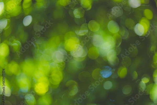 Obraz green bokeh background