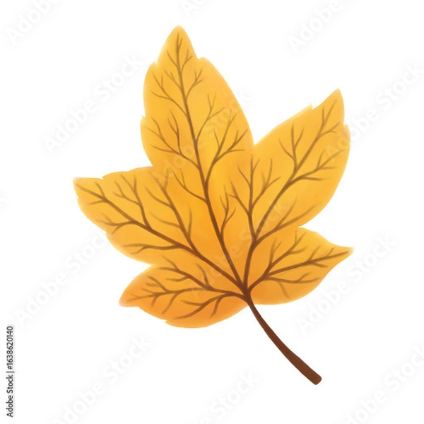 Fototapeta autumn maple leaf, yellow leaf on a transparent background 
