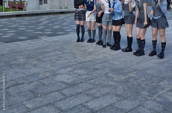 Obraz 整列した女性たち