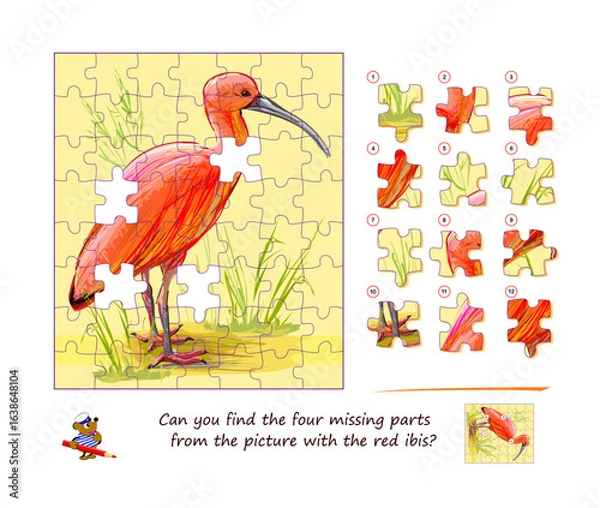 Fototapeta Can you find the four missing parts from the picture with the red ibis? Logic puzzle game for children and adults. Page for kids brain teaser book. Developing spatial thinking. Flat hand drawn vector