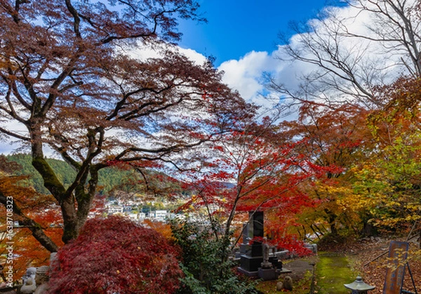 Obraz もみじ寺　茨城県