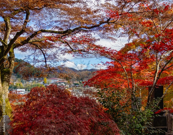 Obraz もみじ寺　茨城県