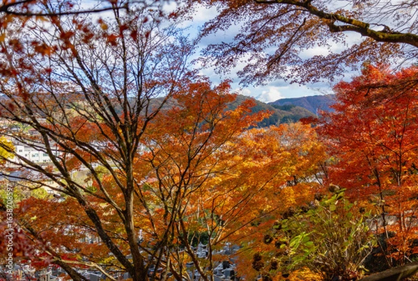 Obraz もみじ寺　茨城県