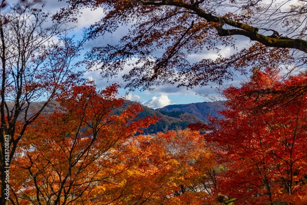 Obraz もみじ寺　茨城県