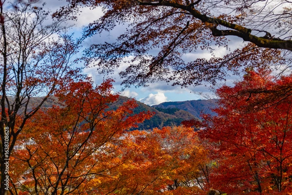 Obraz もみじ寺　茨城県