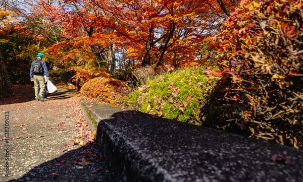 Obraz もみじ寺　茨城県