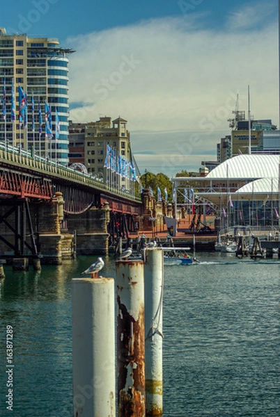 Fototapeta port sydney