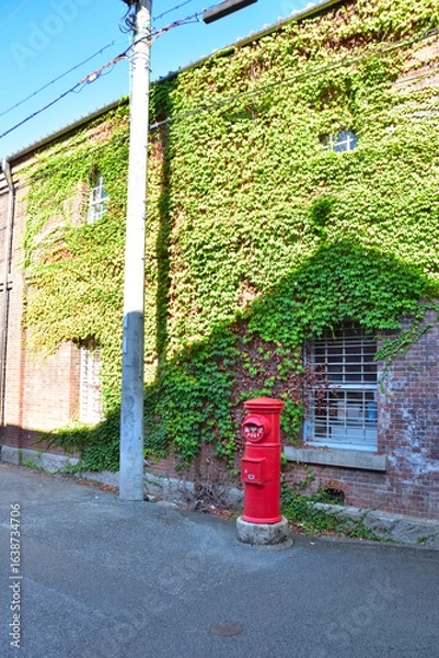 Obraz 舞鶴　赤レンガ倉庫群と蔦