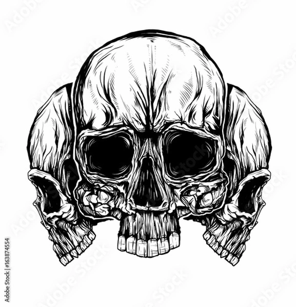 Obraz Three skulls on a white background
