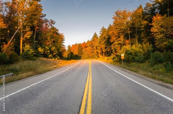 Fototapeta Empty Two Lane Highway through a Forest at Sunset