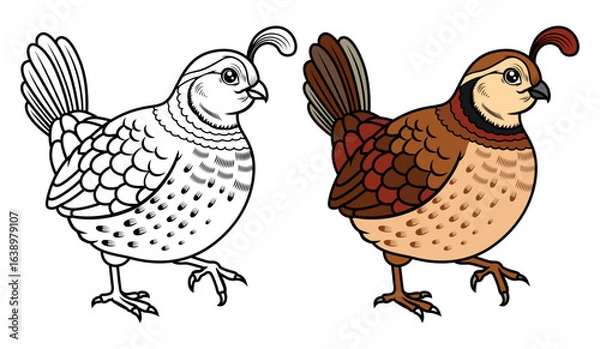 Obraz Cute quail cartoon  coloring