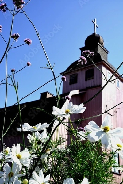 Obraz Pink Church