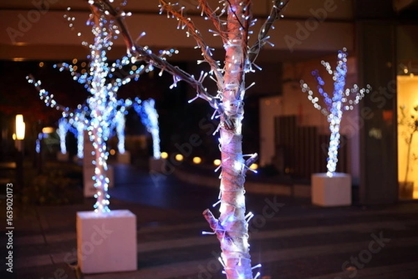 Fototapeta クリスマスのイルミネーション