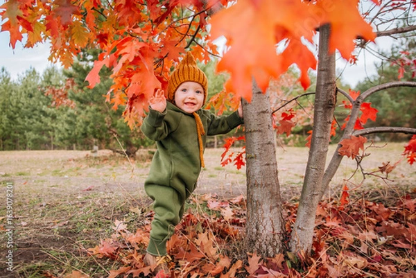 Obraz little child 1 year old in autumn. stands near tree with red leaves. smiles and waves hand