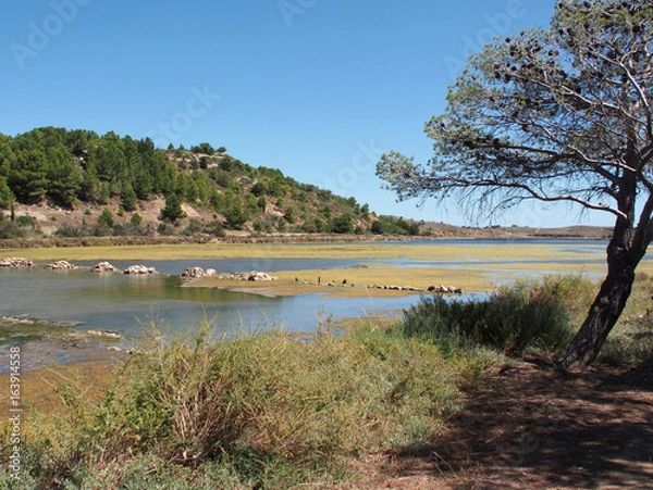 Obraz Etang, Peyriac-de-Mer