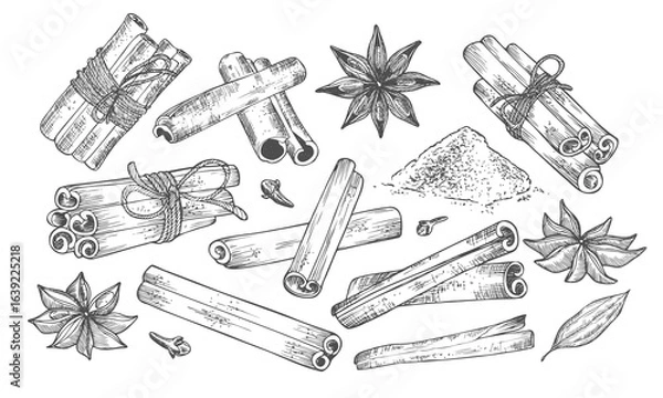 Fototapeta Cinnamon stick tied bunch, anise star and cloves. Vector drawing. Hand drawn sketch. Seasonal food illustration isolated on white. Engraved style spice and flavor.