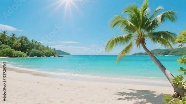 Fototapeta Tropical Beach with Palm Tree and Crystal Clear Waters