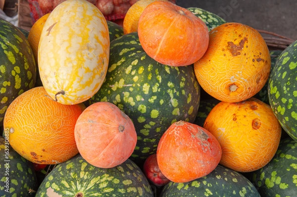 Fototapeta Colorful assortment of melons, watermelons and pumpkins, featuring green speckled gourds and orange or yellow-skinned varieties. Seasonal produce at a local market. Natural food harvest